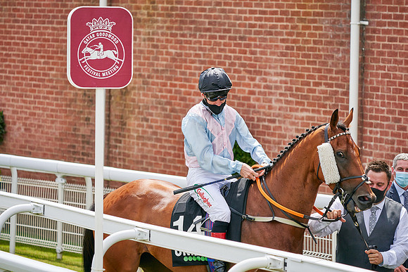 QGF2020_DominicJames-015038