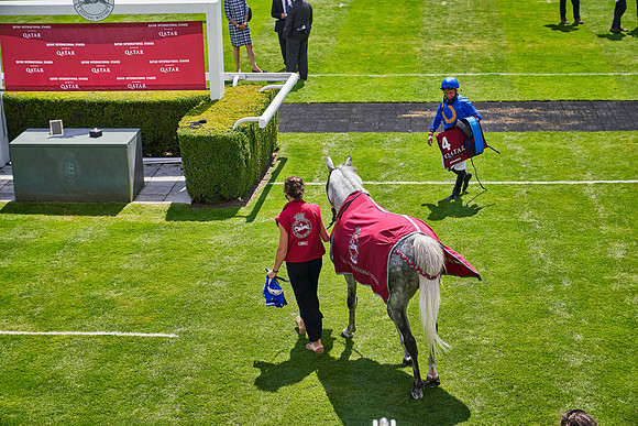 QGF2020_DominicJames-015627-150
