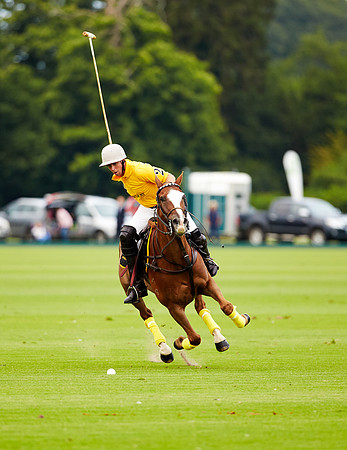 Day one of the Qatar Goodwood Festival