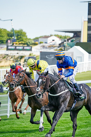 QGF2020_DominicJames-004062