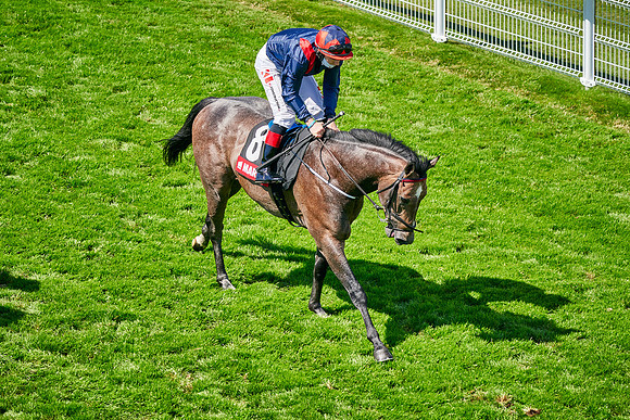 QGF2020_DominicJames-005084