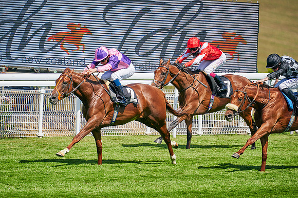 QGF2020_DominicJames-011294
