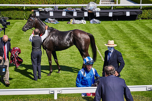 QGF2020_DominicJames-005890