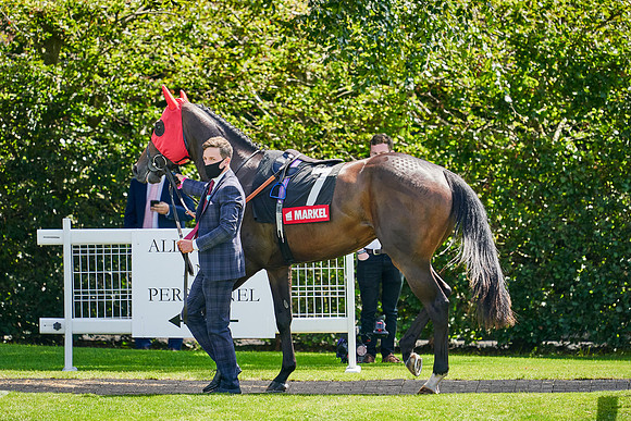 QGF2020_DominicJames-004839