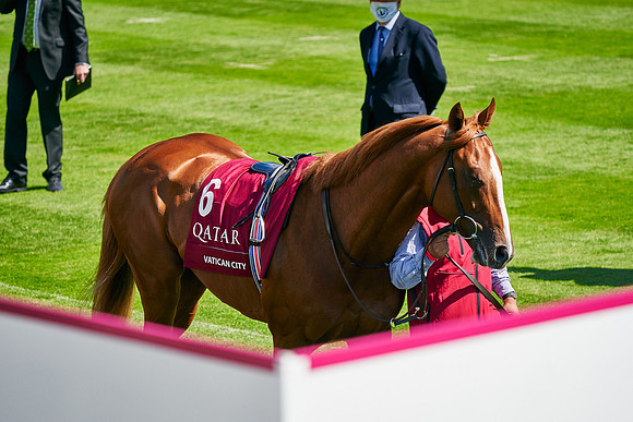 QGF2020_DominicJames-005269