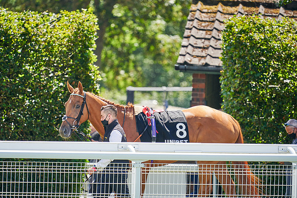 QGF2020_DominicJames-004326