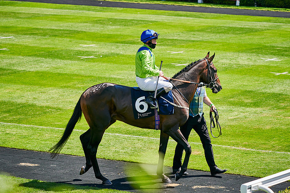 QGF2020_DominicJames-008146