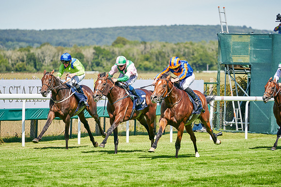 QGF2020_DominicJames-008486