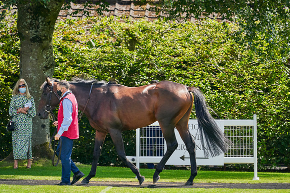 QGF2020_DominicJames-004811