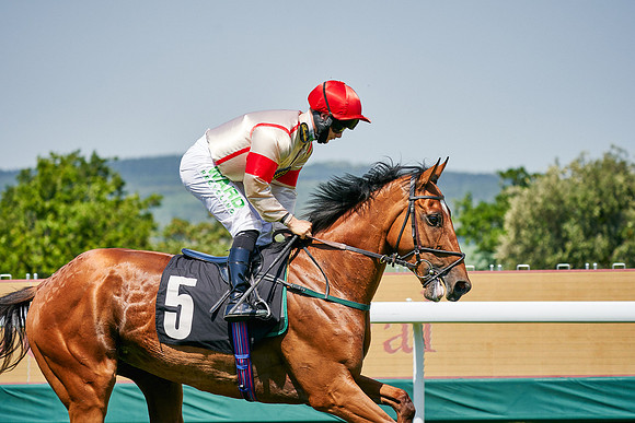 QGF2020_DominicJames-011095