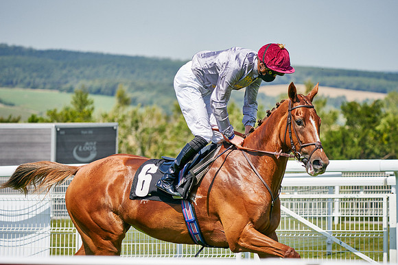 QGF2020_DominicJames-011515