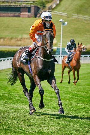 QGF2020_DominicJames-011086