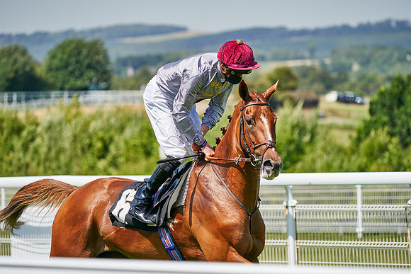 QGF2020_DominicJames-011510