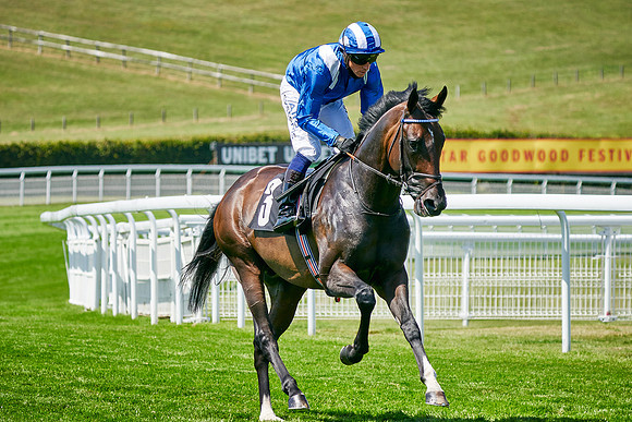 QGF2020_DominicJames-011061