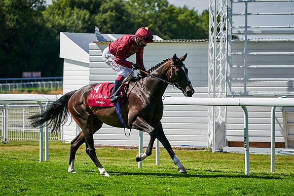 QGF2020_DominicJames-005415