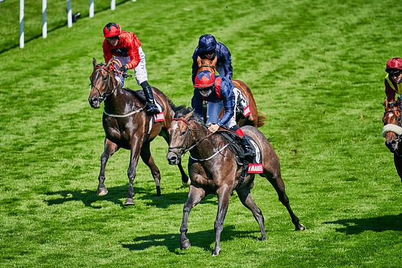 QGF2020_DominicJames-004970
