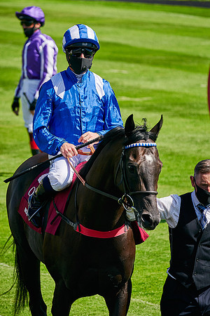 QGF2020_DominicJames-005325