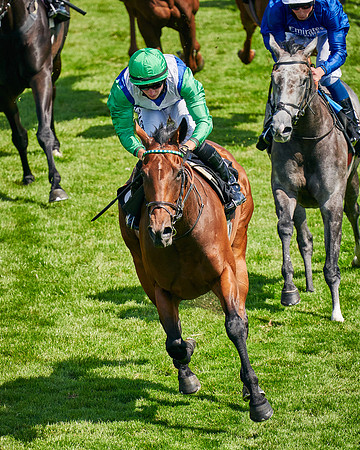 QGF2020_DominicJames-011623