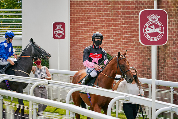 QGF2020_DominicJames-015044