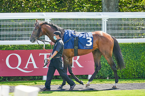 QGF2020_DominicJames-008096