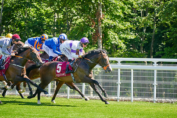QGF2020_DominicJames-007958