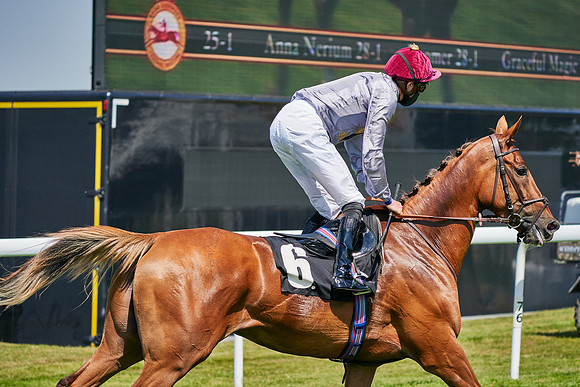 QGF2020_DominicJames-011521
