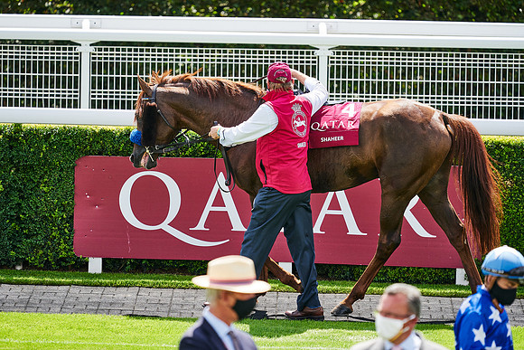 QGF2020_DominicJames-014482