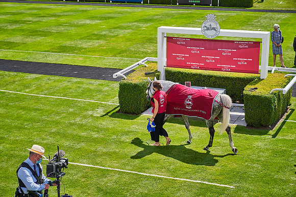 QGF2020_DominicJames-015637-150