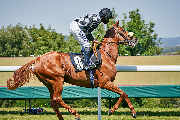 QGF2020_DominicJames-011103