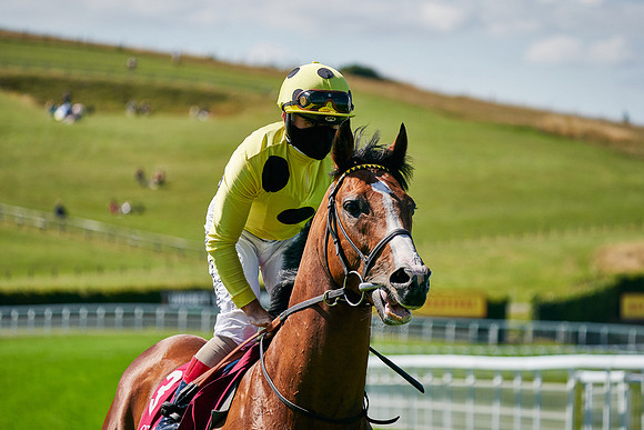 QGF2020_DominicJames-005399