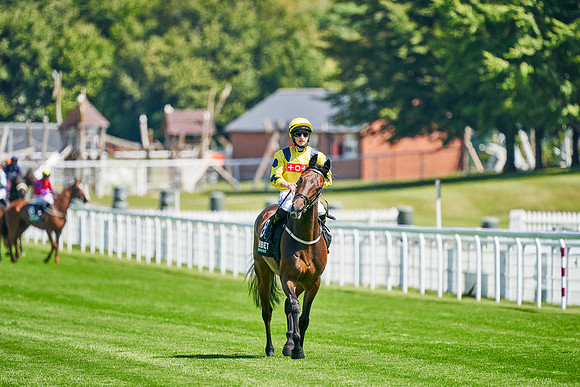 QGF2020_DominicJames-003883