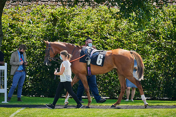 QGF2020_DominicJames-011495