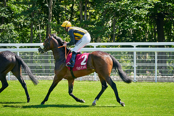 QGF2020_DominicJames-007719