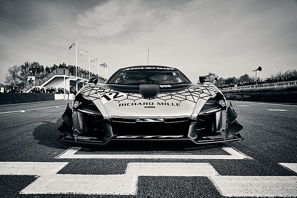 77MM_2019_DomincJames_0333