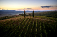 DJI_0266.DNG