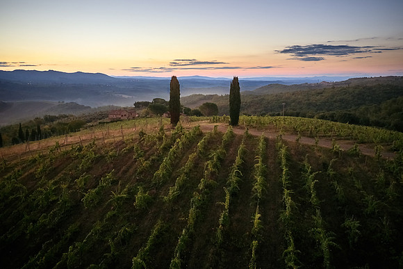 DJI_0266.DNG