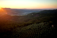 DJI_0291.DNG