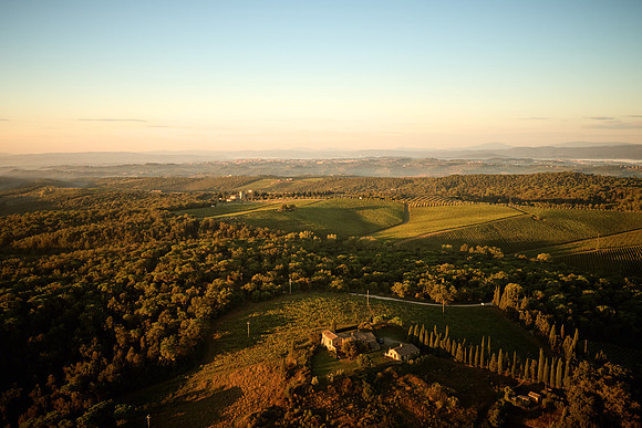 DJI_0303.DNG