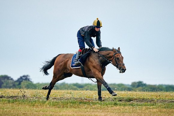 2022-07-23-DominicJames-1284