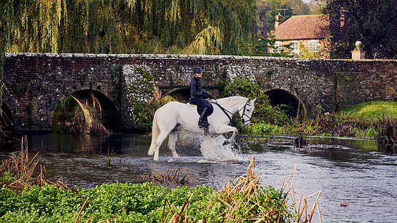 Kim-Andrews-Stanley-DJ-_DSC0804.ARW-1050