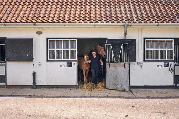 The-National-Stud-Dominic-James_DOM9514