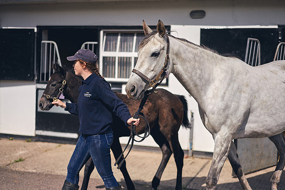 The-National-Stud-Dominic-James_DOM9469