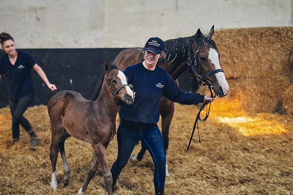 The-National-Stud-Dominic-James_DOM9433