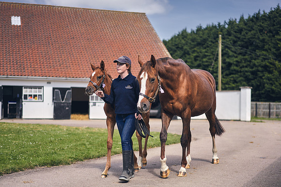 The-National-Stud-Dominic-James_DOM9613