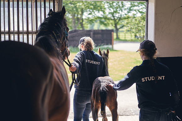 The-National-Stud-Dominic-James_DOM9442
