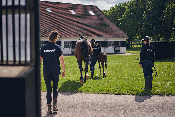 The-National-Stud-Dominic-James_DOM9450