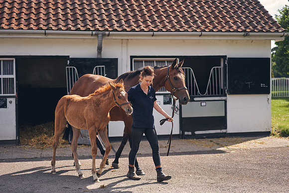 The-National-Stud-Dominic-James_DOM9528