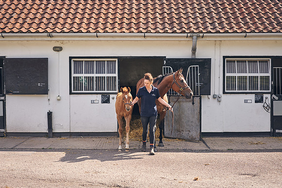 The-National-Stud-Dominic-James_DOM9519