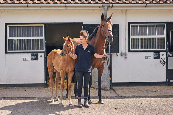 The-National-Stud-Dominic-James_DOM9524