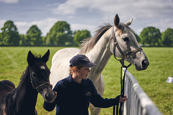 The-National-Stud-Dominic-James_DOM9499